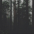 https://i.postimg.cc/zGMdWMXV/41.png