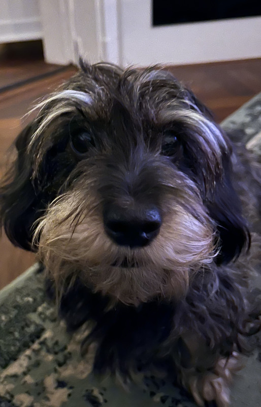 CDA33928-58E6-4320-8058-8A1205B3A800