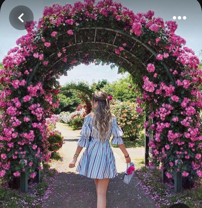 Screenshot_20230719_215919_Pinterest