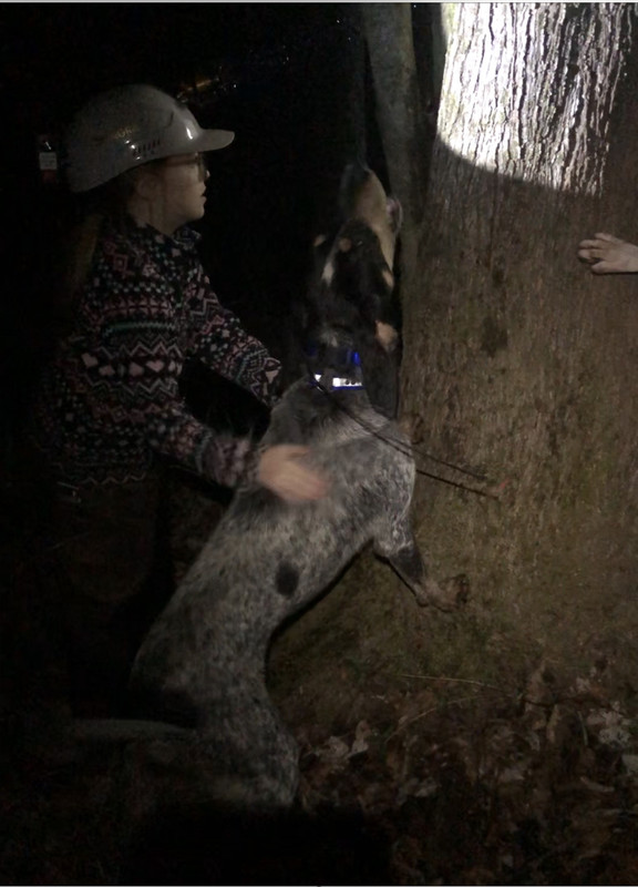 AE542F08-F311-4C1A-BCA4-CB135149C628