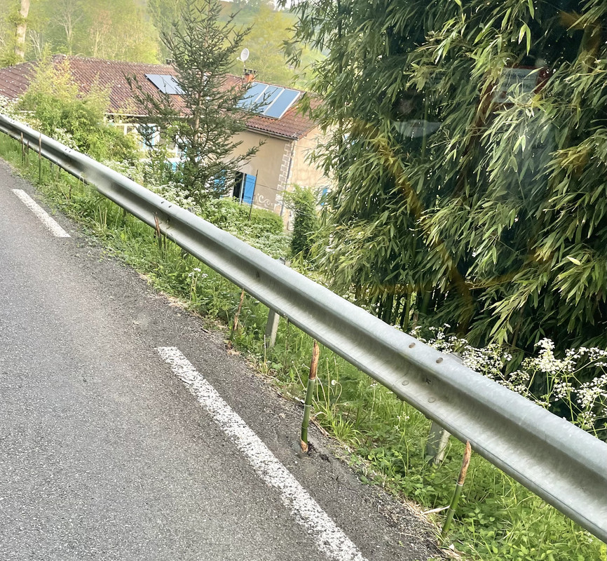 8C90397F-63A7-41F8-8FAB-DCAFD2C37C97