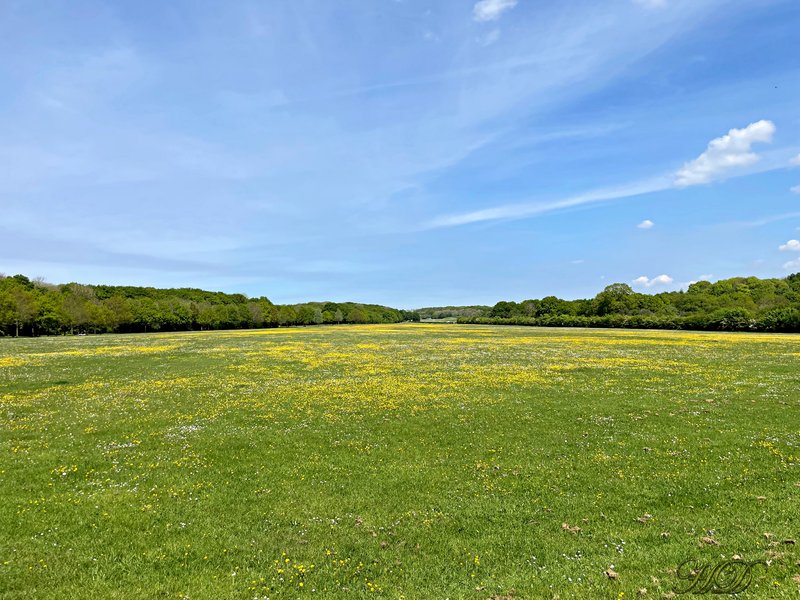 Park-HD.jpg