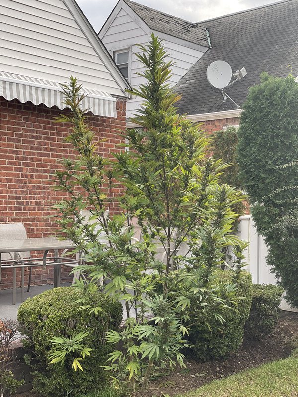 96A47CBC-2842-4CA7-9730-32B660B6E6A3