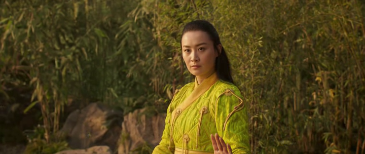 vlcsnap-2021-11-11-08h33m00s565