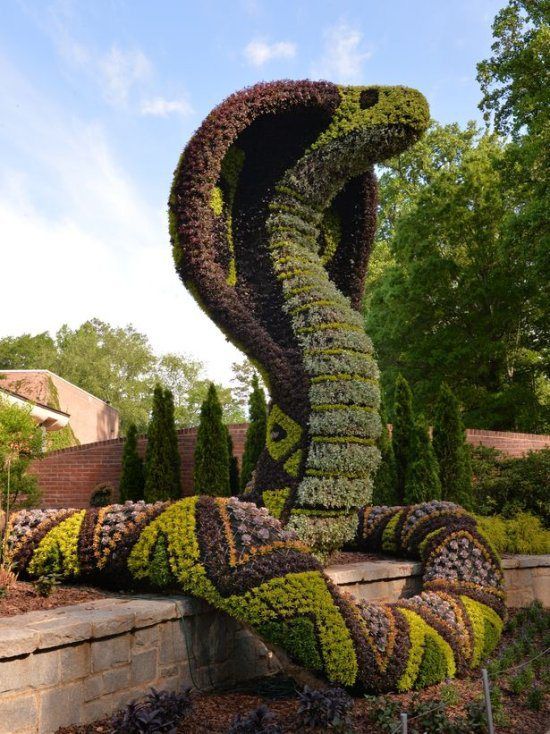 greengrassnake.jpg