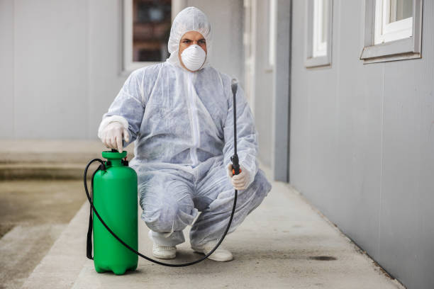 Kissimmee Termite Treatment