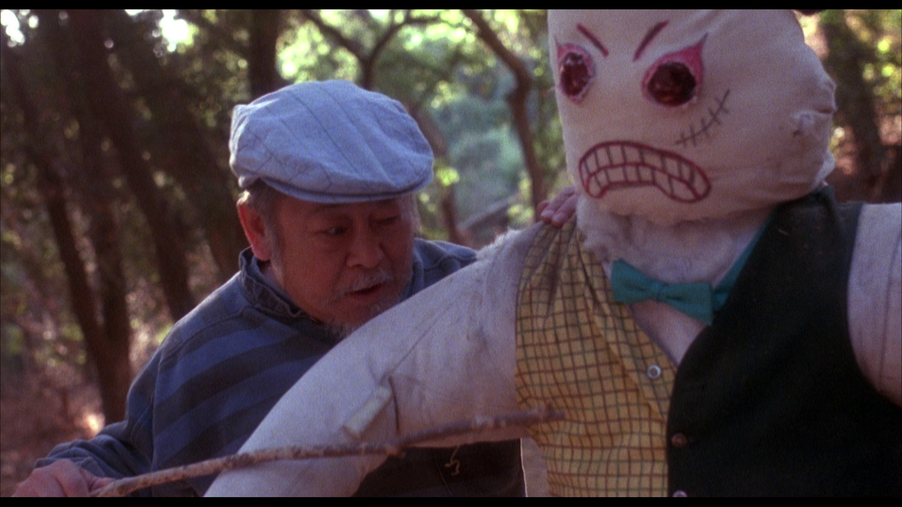 vlcsnap-2024-02-03-16h16m34s748