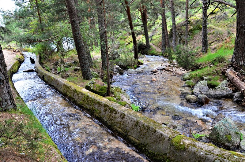 RUTA VALLE DE LA BARRANCA-6-6-2013-MADRID - Paseando por España-1991/2017 (60)