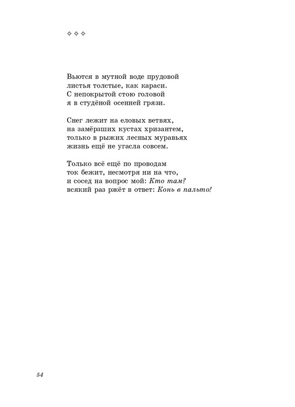salimon-za-litsevoyu-storonoi-pejzazha-2011-page-0055