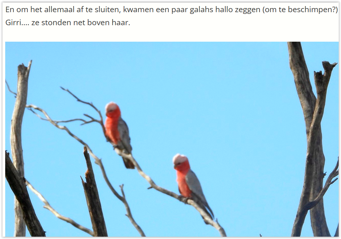 Screen Shot 12 21 25 at 09 59 AM 001