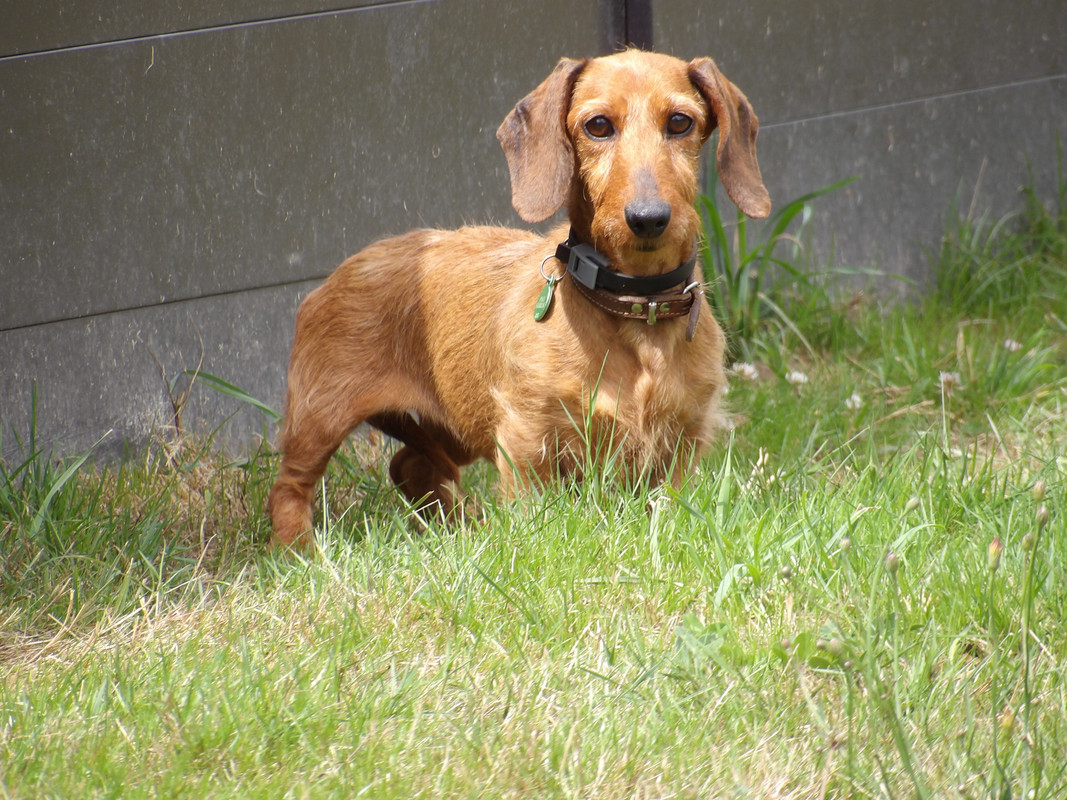 [Image: 125-0196.jpg]