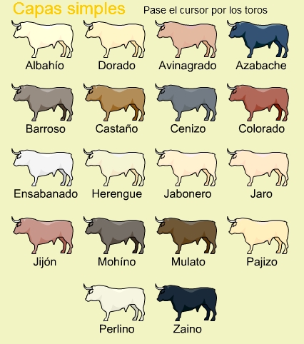 Capas simples de toros