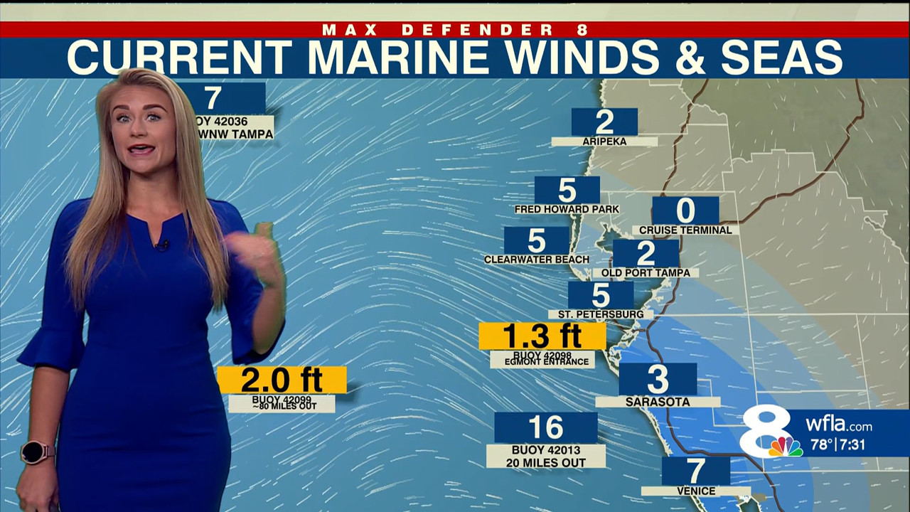 NewsChannel 8 Weekend Morning Edition at 6a Saturd_20231007_12001300.ts_snapshot_31.49.900