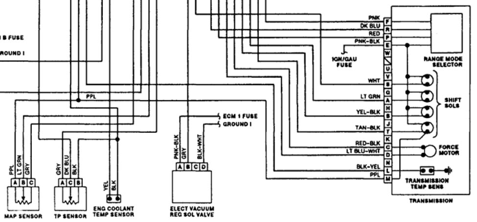 55 350 Tbi Ecm Wiring Diagram - Wiring Diagram Harness