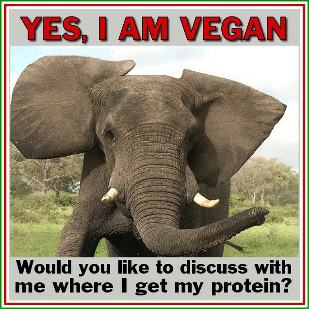 1320021666-193241-vegan.jpg