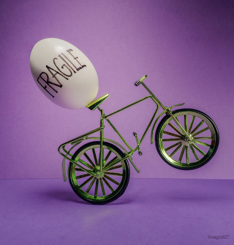 greenbikefragilegg.jpg
