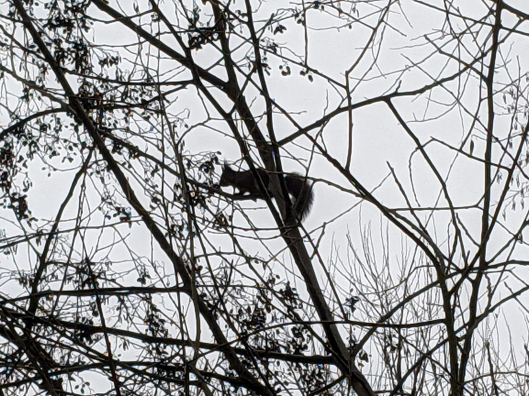 PXL_20201213_111546438