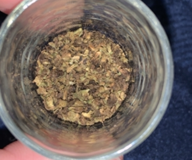 AA13F36D-8E72-483F-B396-43876659F254