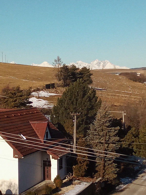 IMG_20240121_095046_098