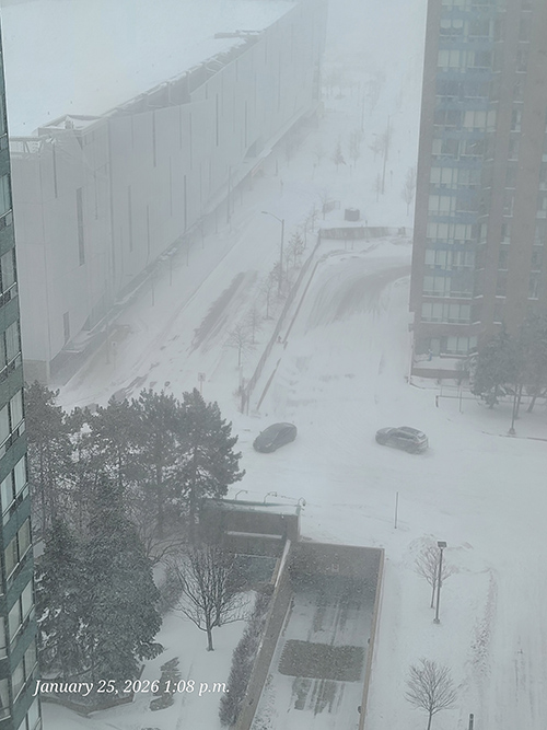 [Image: 20260125-130804.jpg]