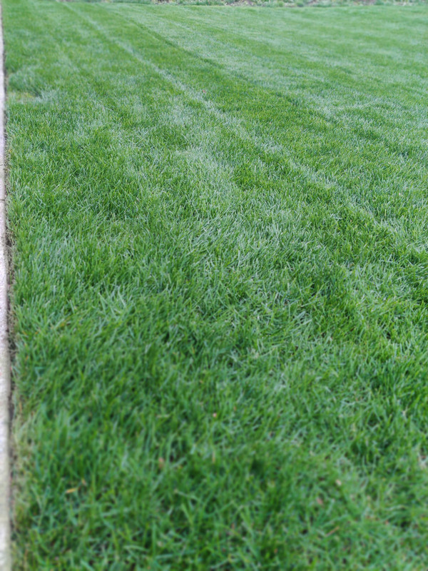 IMG_20210501_180357_Bokeh