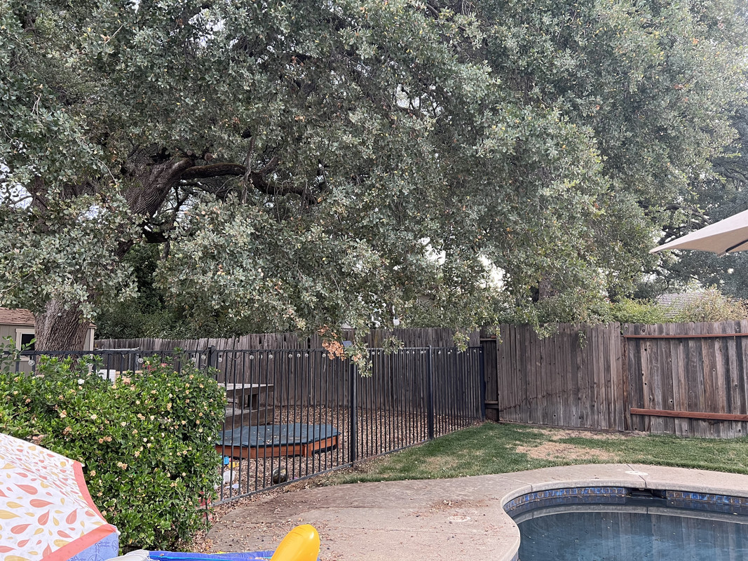 D9C4956B-66B9-4D14-912B-E72B428E7946