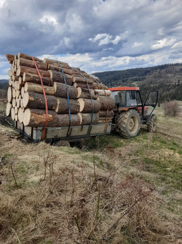 received_1634150350108324