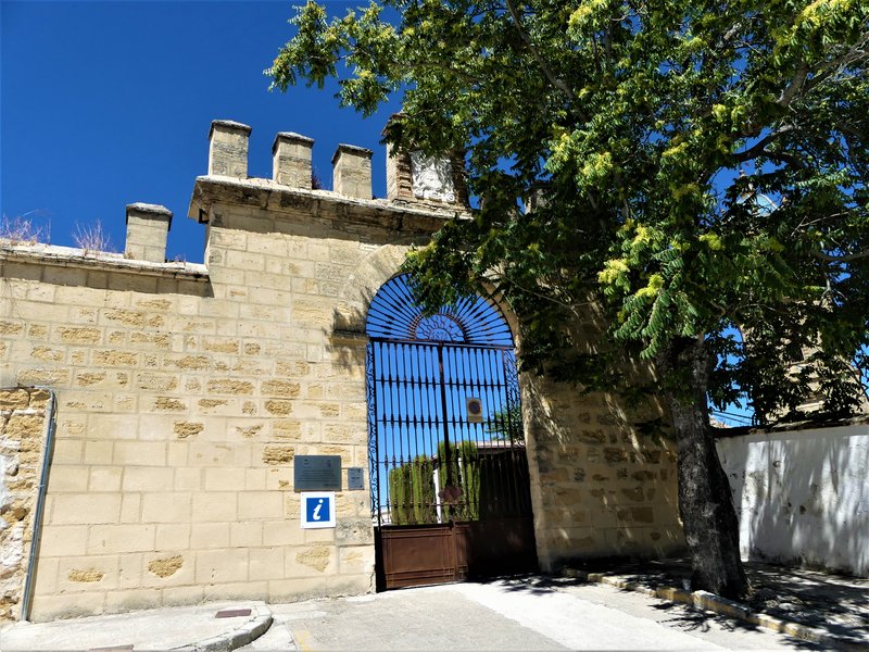 MONTILLA-3-7-2020 - Córdoba y sus pueblos-2017/2020 (50)