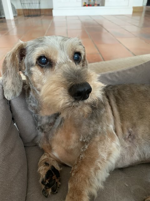 [Image: 1-DFB89-C2-08-F4-4-D89-93-FD-374928-BCAC95.jpg]