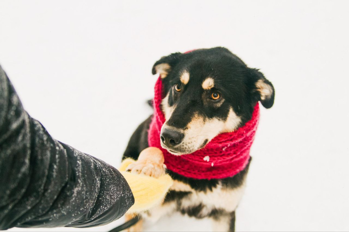 photo_2023-03-16_21-37-36