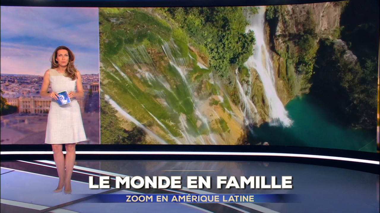 2021-04-18_13_00_TF1_Le-13h.mp4_snapshot_00.05.05.440