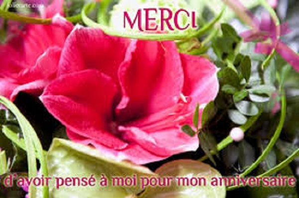 Forum Happy Birthday Page 2