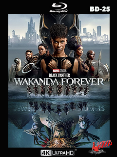 Black.Panther.Wakanda.Forever.2022.4K.UHD.BD25.Latino
