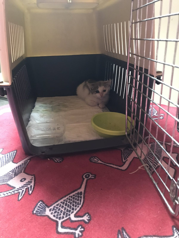 C9329163-F652-4B77-9319-D1AD2D82B204