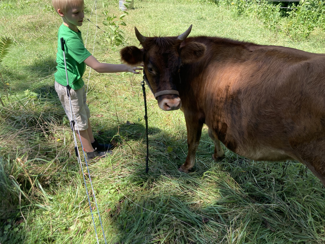 C6A9C3D6-A6EA-4AFB-853A-115099D3DAB1