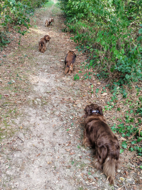 [Image: IMG-20240830-185720.jpg]