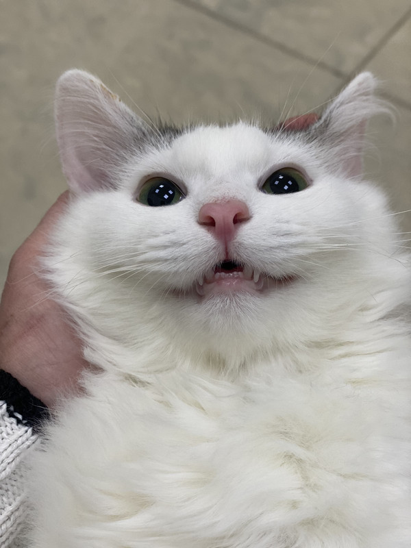 IMG-e3f16963b21573cf032e59971f49ecc7-V