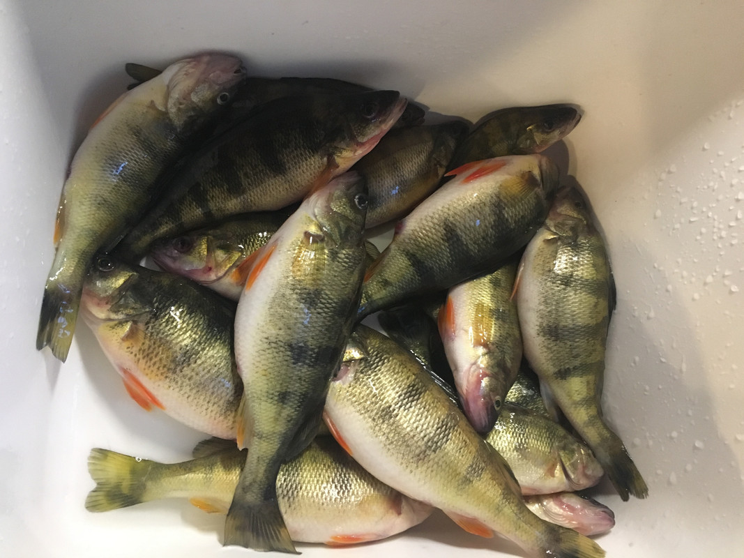 AA8C6CBC-B04E-41DF-940E-F35AA8FA0EAC