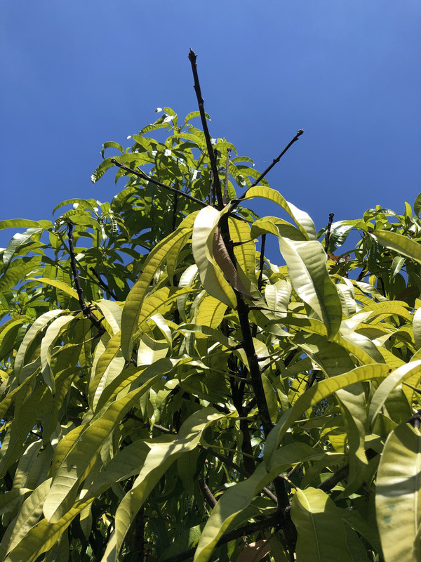 BC692600-5A24-4037-82BE-BAEDF38019D0