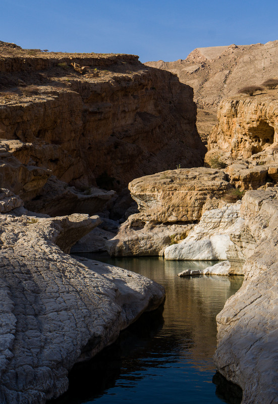 F252CA32-97F6-4EA1-9F12-E2A9690E9E66