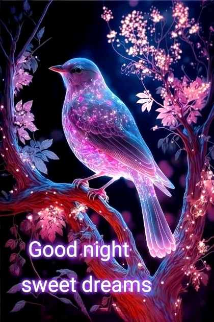 oiseau