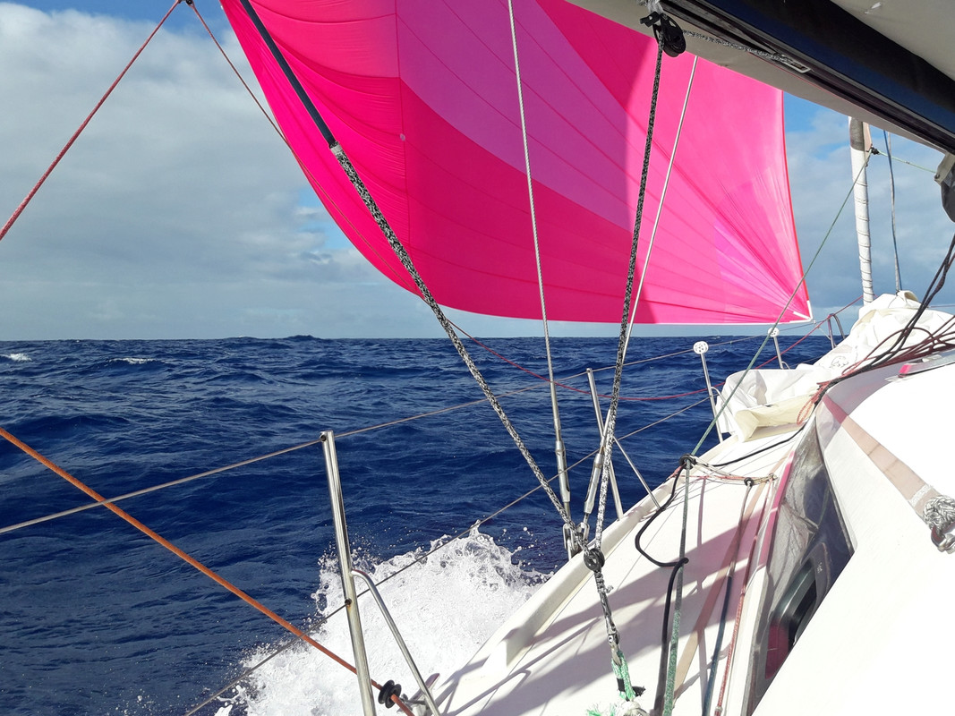 [Imagen: 20200215-081835.jpg]