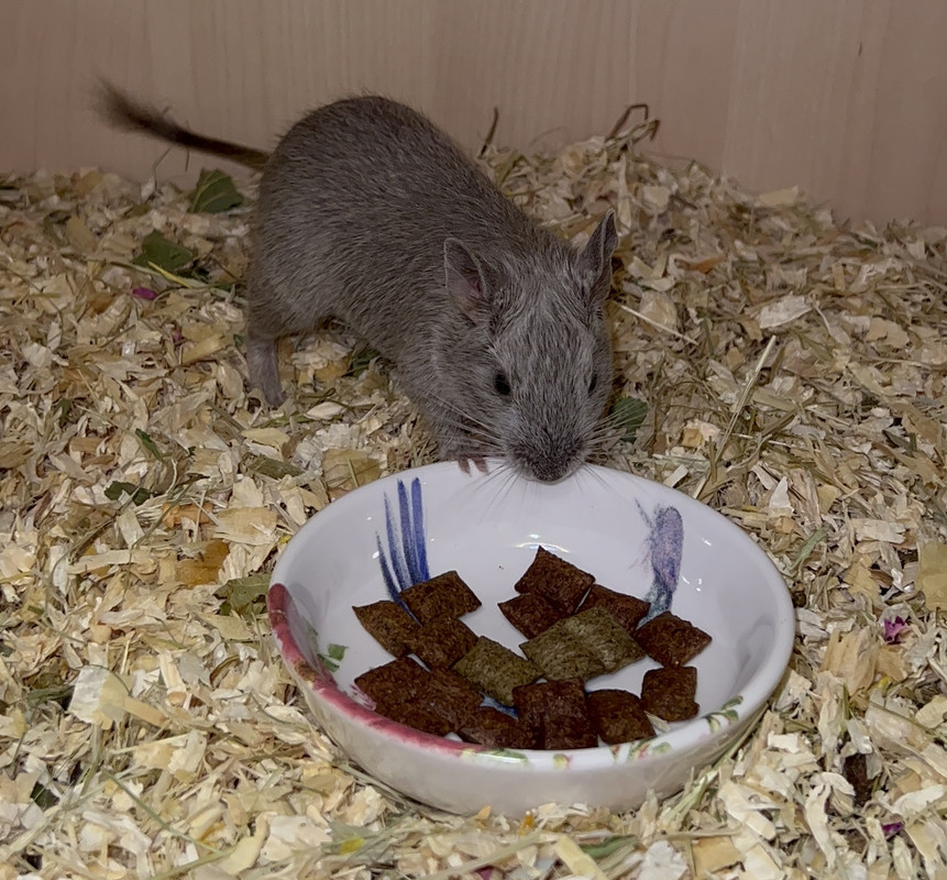 D3F9E1D6-BB8D-4747-B7F1-26F36BB1F238