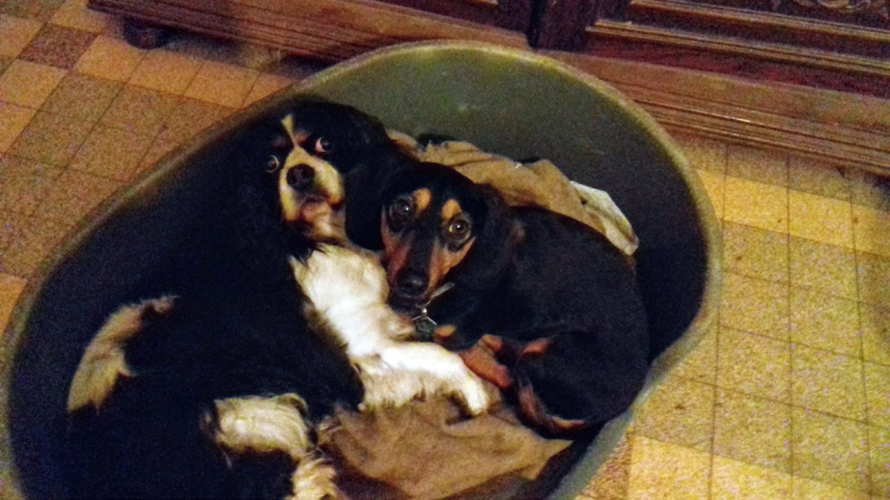 [Image: IMG-20211029-WA0001.jpg]