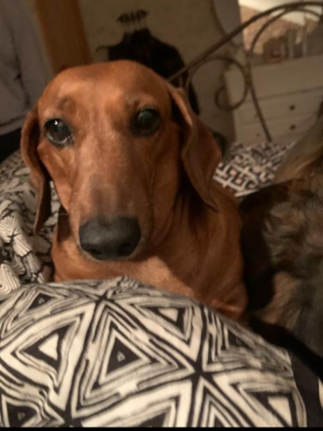 [Image: 20230814-073207.jpg]