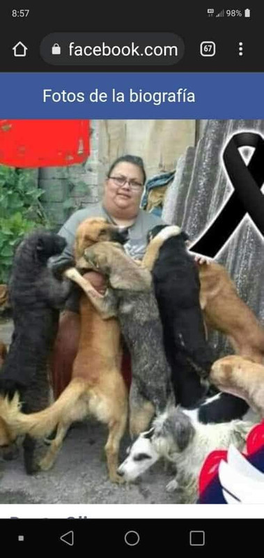 Rescatista muere y deja 30 perros y 12 gatos sin hogar