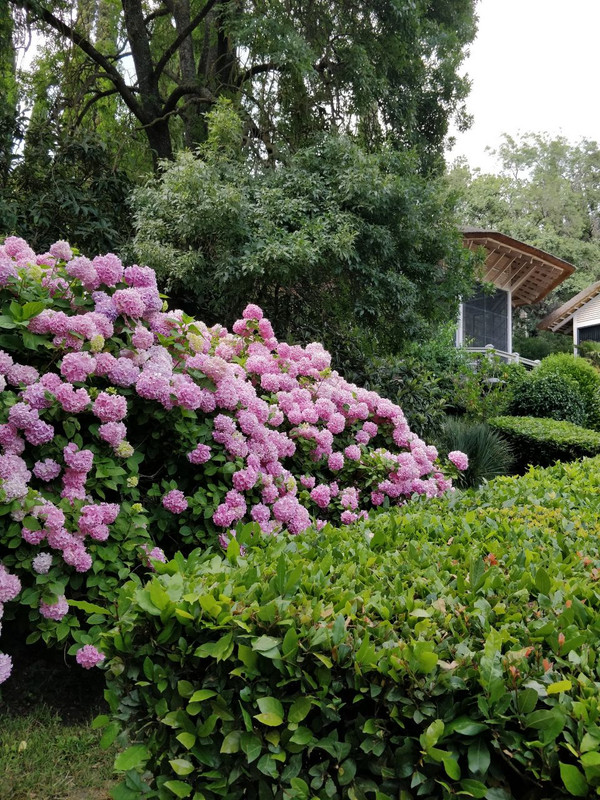 IMG_20230409_131954_950