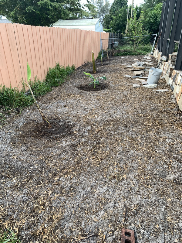 1DB228C7-79F3-4B27-8FF0-D0A670BD7FDD