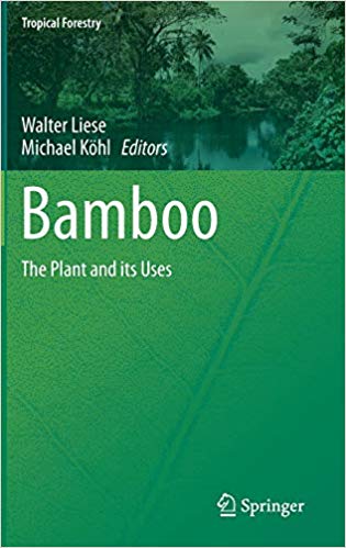 Bamboo: The Plant and its Uses