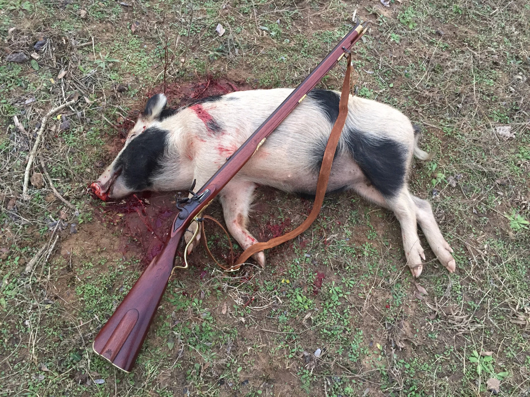 7F5F2BAE-C950-46AF-B8CA-AEF21A44C00E